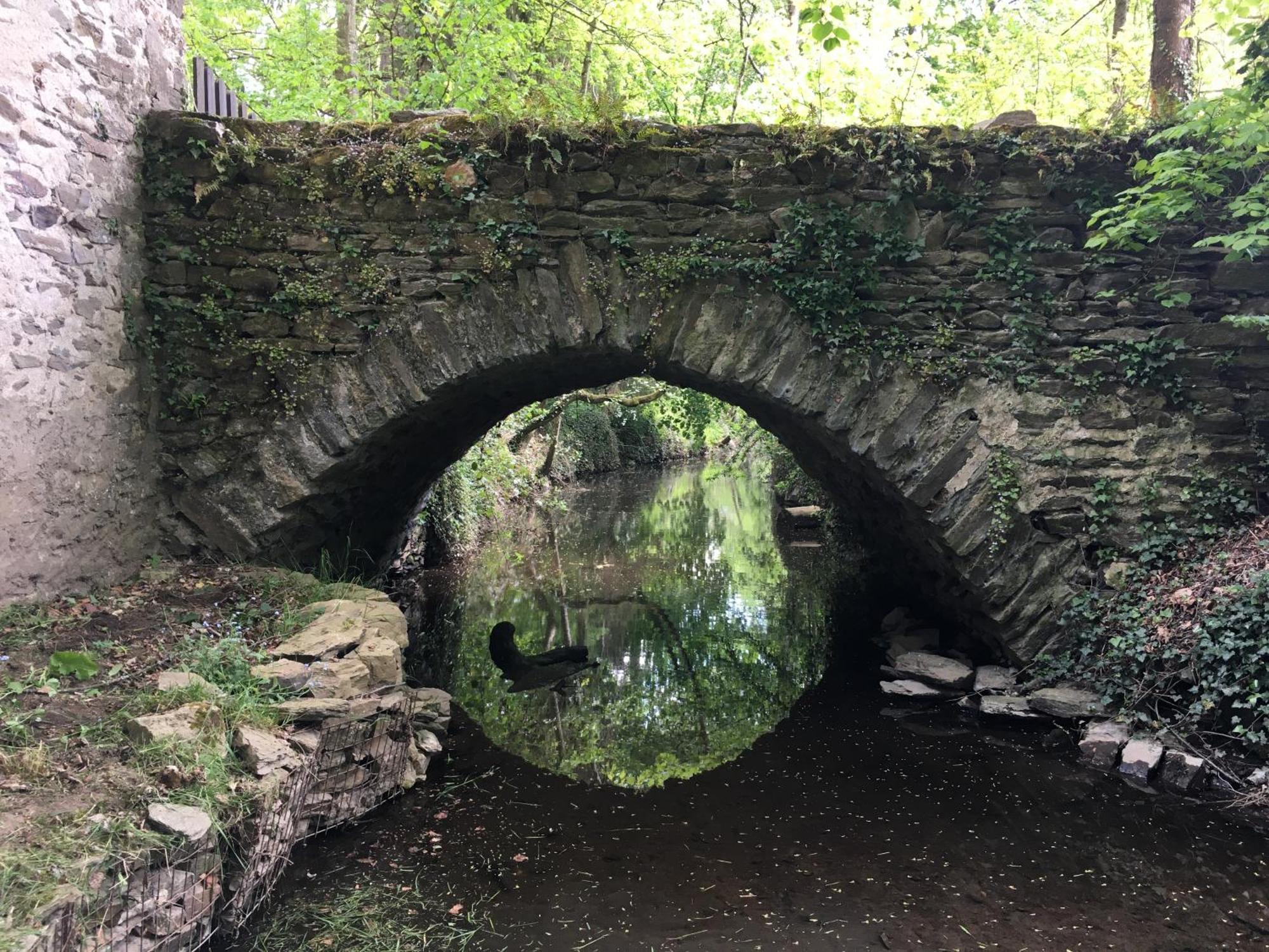 Chambre Sur Une Ile Saint-Bonnet-de-Rochefort 外观 照片